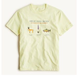 J Crew x National Parks Foundation Great Sand Dunes T -Shirt